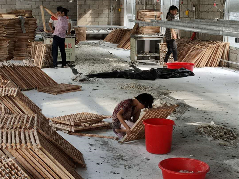高效快速摘茧机 省力化蚕具
