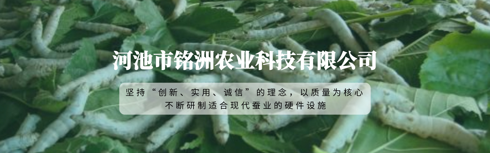 幻灯片广告二